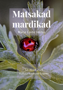 Näitus Marje Loide Matsakad mardikad